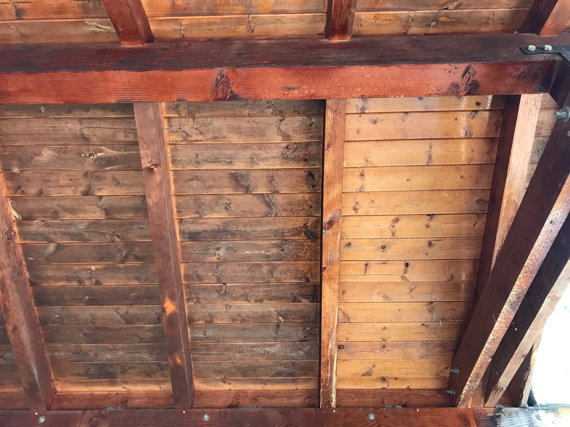 Close-up of restored tongue-and-groove ceiling boards showing warm, even wood grain